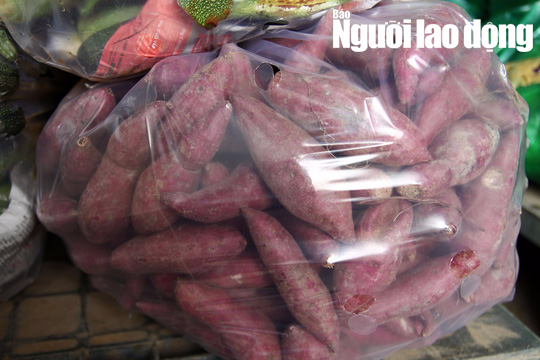 Cận cảnh hơn 40 tấn hoa, rau Đà Lạt gửi tặng Trường Sa - Ảnh 4. Cận cảnh hơn 40 tấn hoa, rau Đà Lạt gửi tặng Trường Sa - Ảnh 4.