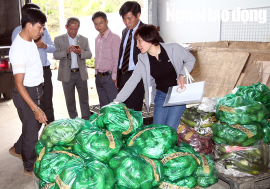 Cận cảnh hơn 40 tấn hoa, rau Đà Lạt gửi tặng Trường Sa - Ảnh 2. Cận cảnh hơn 40 tấn hoa, rau Đà Lạt gửi tặng Trường Sa - Ảnh 2.