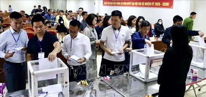 Đất đấu giá tại Mê Linh Hà Nội cao nhất lên tới 77,604 triệu đồng/m2 Chú thích ảnh